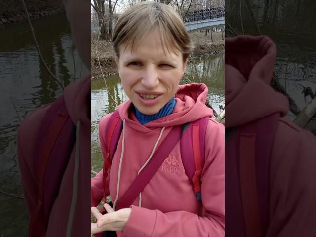 Здесь был бобёр