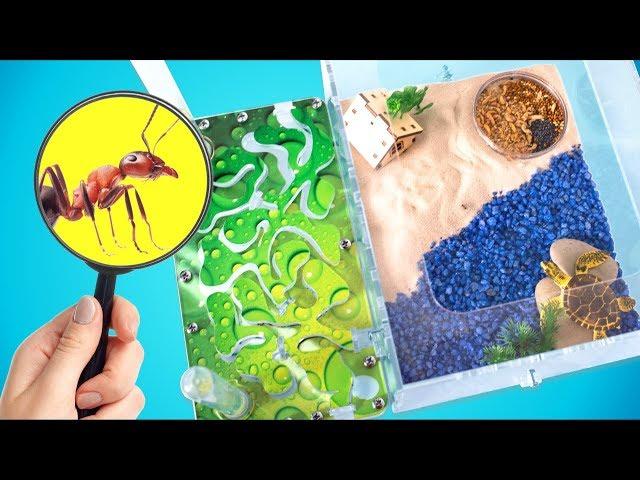 5 Tips to Make Your Ants Happy | Building a New Ant Farm!