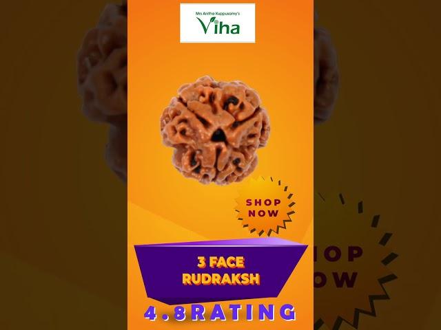Divine & authentic Viha 3 face rudraksha | Viha Rudraksha Collection | Anitha Kuppusamy Viha