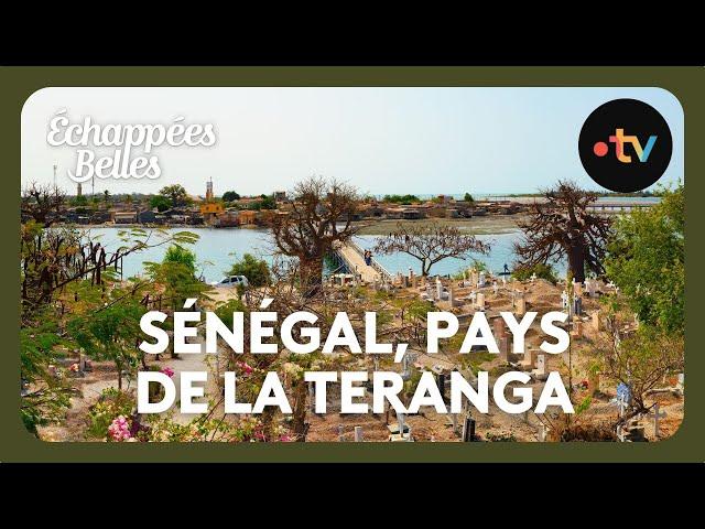 Sénégal, pays de la Teranga - Echappées belles