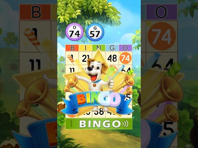 Bingo Journey – #1 Bingo Games