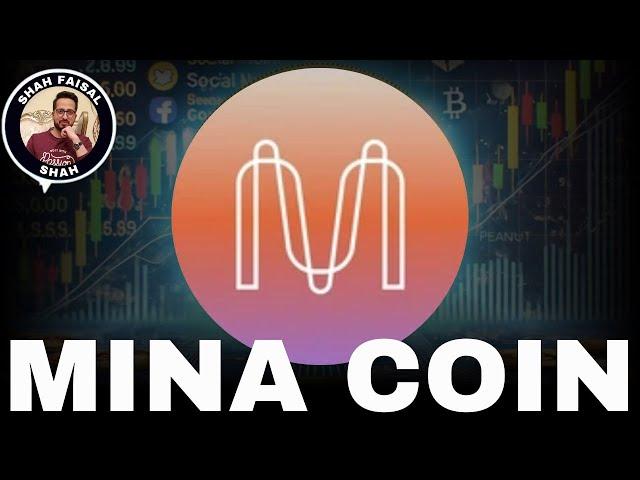 MINA Protocol Price Prediction as of 30 December 2024