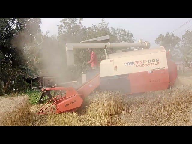 Marksan K-BOS  MS-1200 Combine Harvester