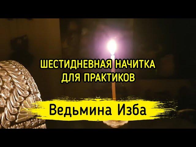 ШЕСТИДНЕВНАЯ НАЧИТКА. ДЛЯ ПРАКТИКОВ. ВЕДЬМИНА ИЗБА ▶️ МАГИЯ