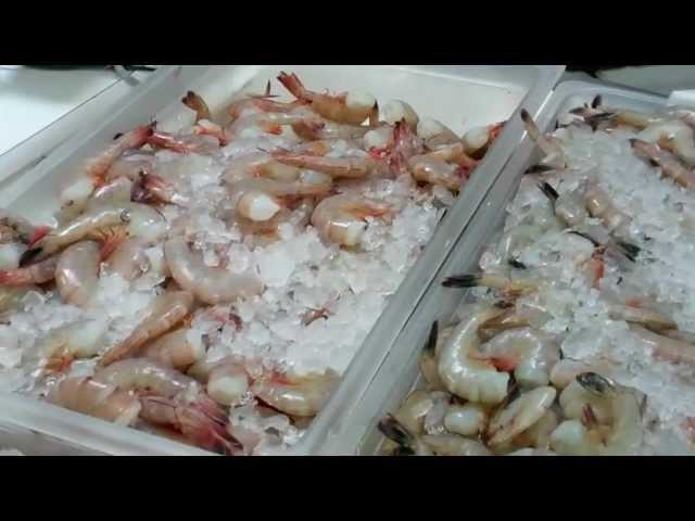 Fresh Market Seafood