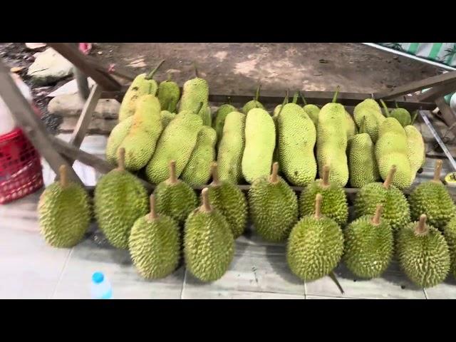 Cty cây giống tấn tài luôn có giống mới.0983198739