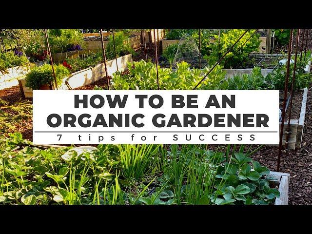 How to be an ORGANIC GARDENER: 7 Tips for Success