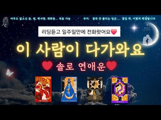 미친적중률️‍솔로운️‍결정적 연애사건️‍ #타로 #tarot #킴박타로 #솔로연애운 