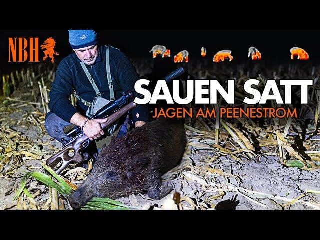 ALLES VOLL MIT SAUEN ! Mit Thunder 3.0 & Robin Maas pirschen auf 4.800 ha bei Jagen am Peenestrom