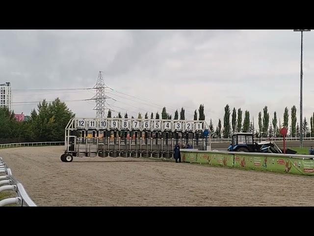 новости спорт ипподром акбузат лошадиные скачки сегодня сейчас.дерби 17 08 2024