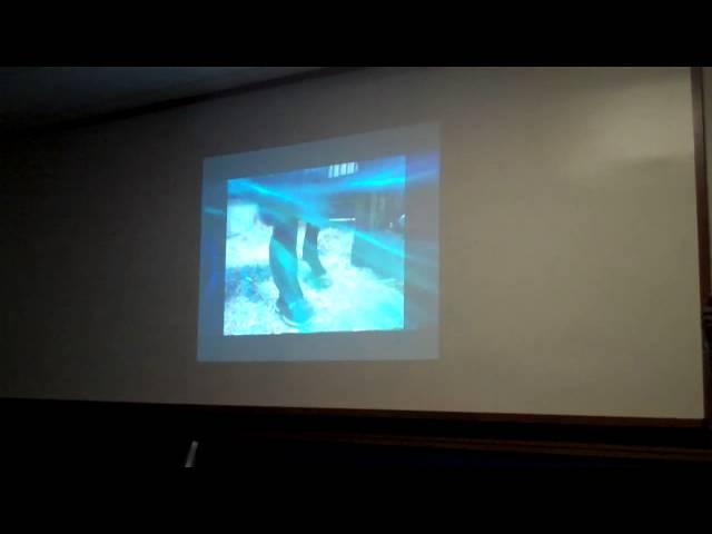 Ninsaru's My Little Panel @ SuperCon 2013 Intro