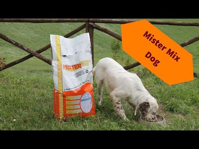 Mister Mix Dog. L'alimentazione naturale del cane