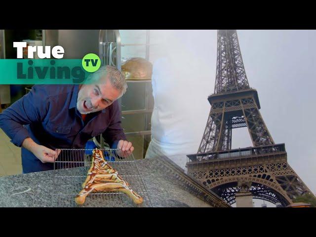 French Bakery Adventure with Paul Hollywood | TLTV |True Living TV