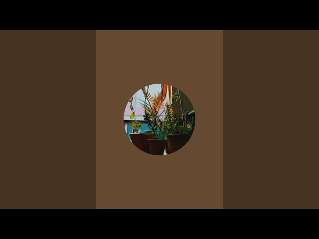 Raveena Rajpurohit  is live