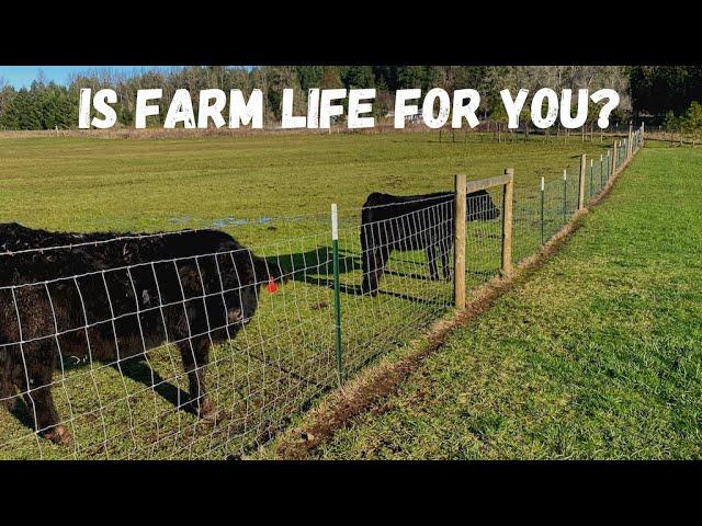 Is the farm life for you?  We have no regrets even though we've had some surprises!