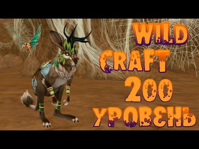 Прокачала кенгуру до уровня 200  WildCraft