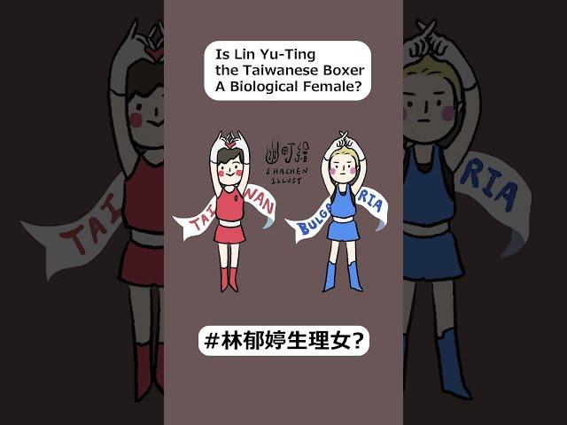 \台灣拳擊選手林郁婷是生理女性?/\Lin Yu-Ting the Taiwanese Boxer a Biological Female ?/ #olympics #boxer #巴黎奧運 #拳擊