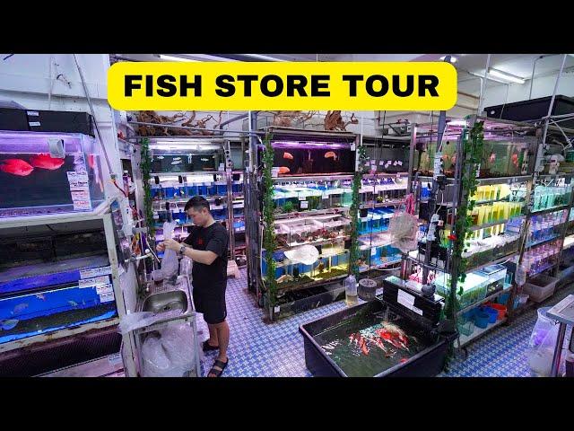 INCREDIBLE FISH STORE TOUR in Singapore!! That Aquarium Changi