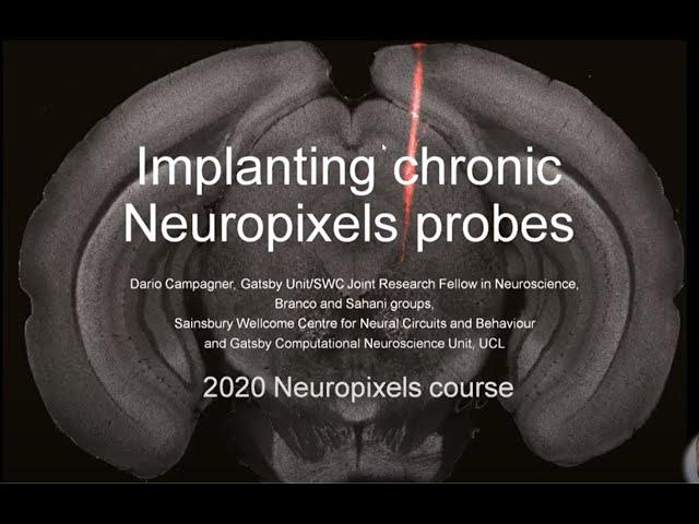 2020 Lecture 3.04 - Chronic Neuropixels implantation - Dario Campagner (UCL)