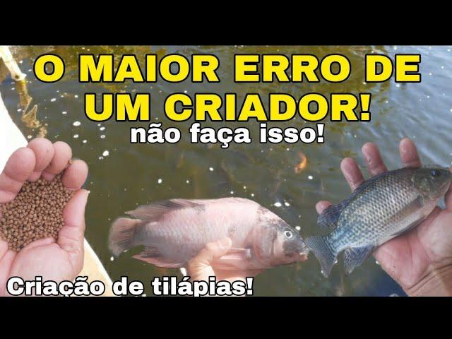 Saiba qual é o maior erro de um criador de peixe iniciante! #psicultura #CRIACAODETILAPIAS