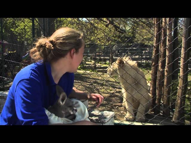 Belgrade Zoo 2011 Episode 3 Part 2