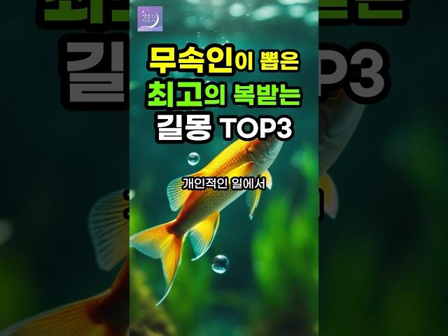 무속인이 뽑은 최고의 길몽 대박 꿈 3가지, 풍수 전문가 꿈해석 #로또 #해몽 #꿈해몽 #꿈풀이 #부자 #재물운 #shorts #운세