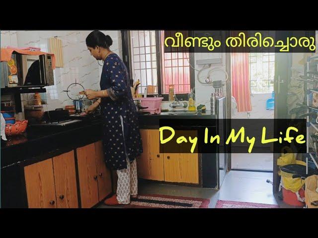 സമാധാനമാണ് ജീവിതത്തിൽ ഏറ്റവും വലുത് || Back to Normal Routine Malayali Housewife Mom Day In My Life