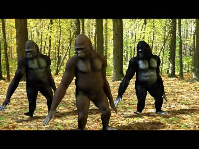 Ego - The Crazy Things We Do Official Music Video (Dancing Gorillas)