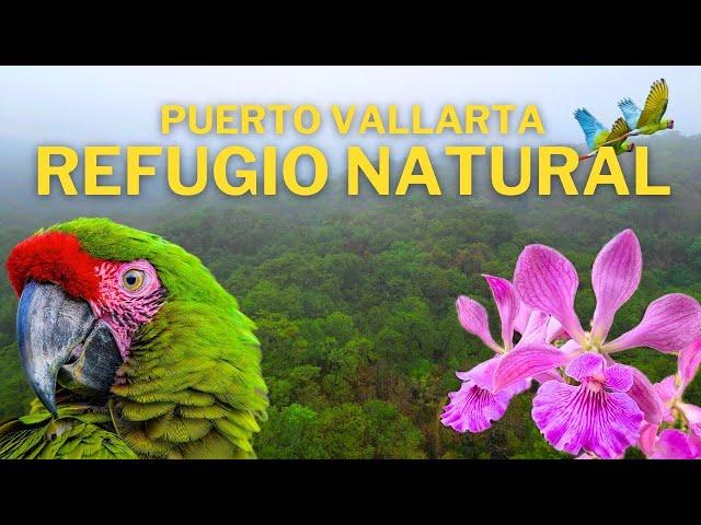 The Macaw Sanctuary and the Botanical Garden of Vallarta - Jalisco.