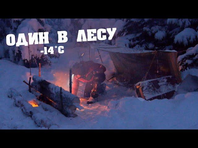 БЕЗ ПАЛАТКИ ! ЗИМНИЙ ПОХОД В -14°C #зимнийпоход #бушкрафт #выживание