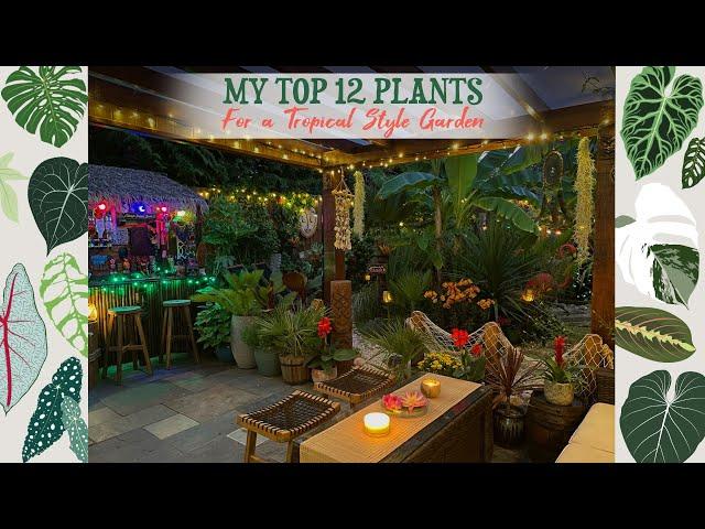 My Top 12 Plants For A Tropical Style Garden + Night Tour 