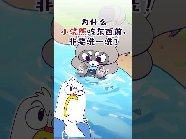 【小魔】为什么小浣熊吃东西前，非要洗一洗？#shorts