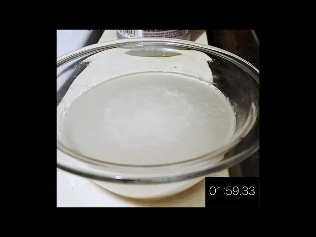 Wine Yeast Activation (Hydration) Time Lapse (Red Star Cote des Blancs)