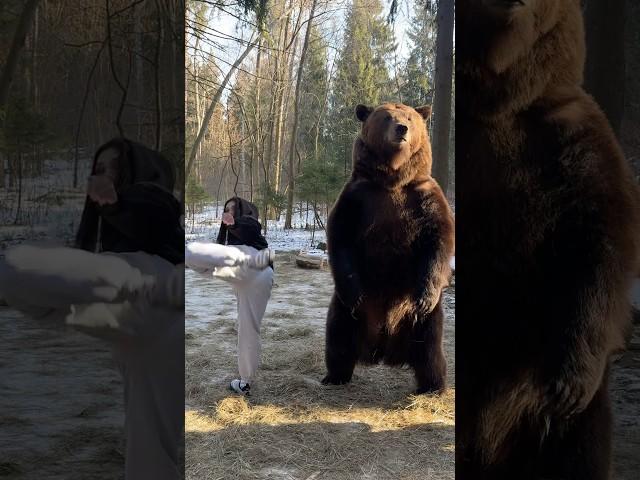 Мишка в тренде 