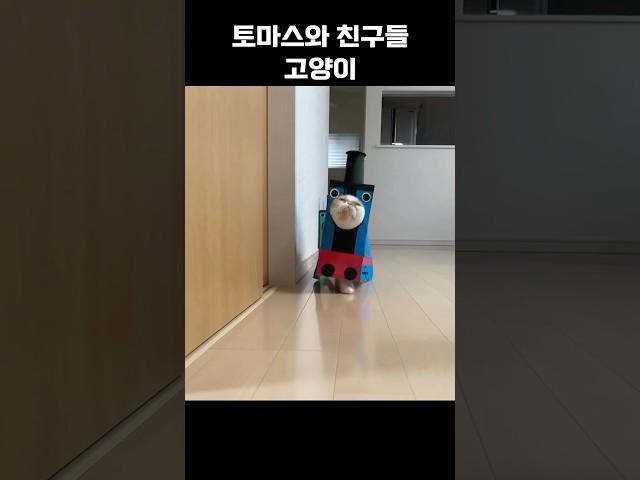 냥기차
