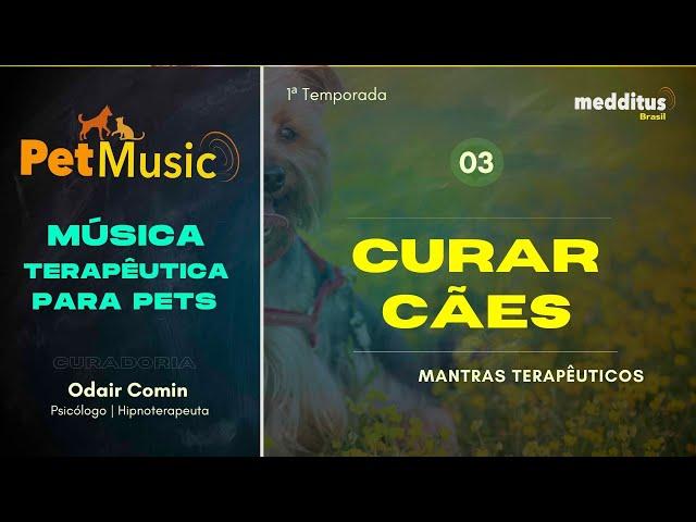 Música para Curar Cães | Mantra Terapêutico