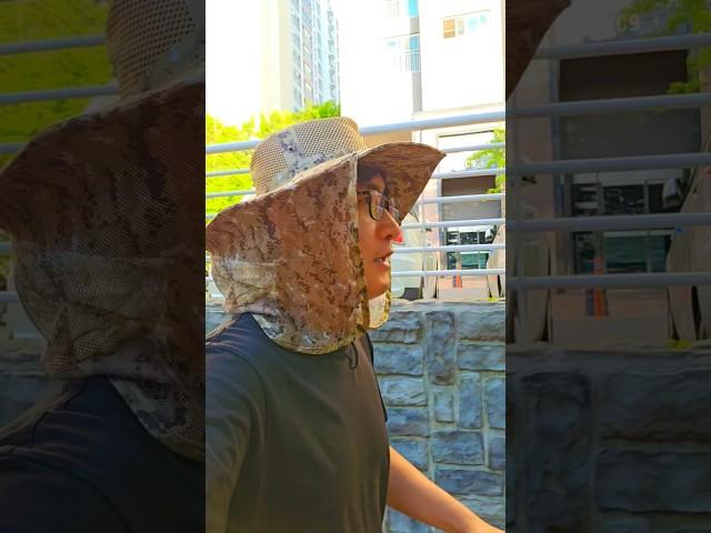 가자! 므허네~산책은 언제나 즐거워.니만!! #비숑