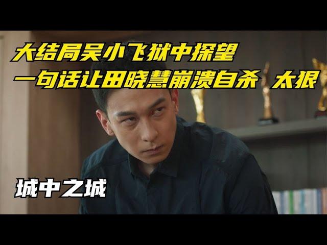 城中之城：大结局吴小飞狱中探望，一句话让田晓慧崩溃自杀，太狠