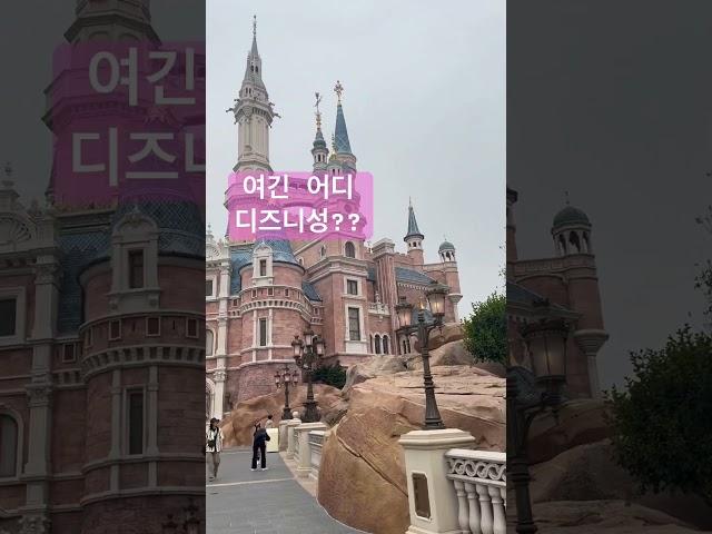 #디즈니랜드 #디즈니 #성 #disneyland #china #shanghai #hongkong #america #singapore