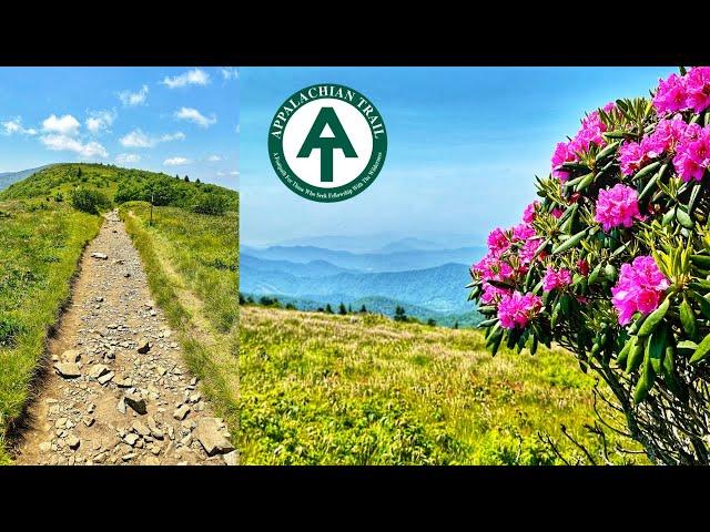 Grassy Ridge Bald Hike - Roan Mountain - Rhododendrons at Carvers Gap - Hike Vlog 73