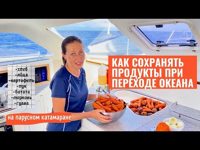 Атлантический океан 2022, как сохранять продукты. #aleksandrtravel