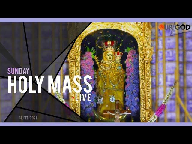 velankanni live mass today | velankanni live