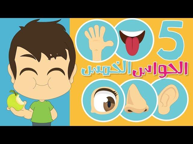 Learn the five senses in Arabic with Zakaria | The Five Senses in Arabic for Kids