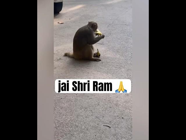 jai Shri Ram #status #shorts ️