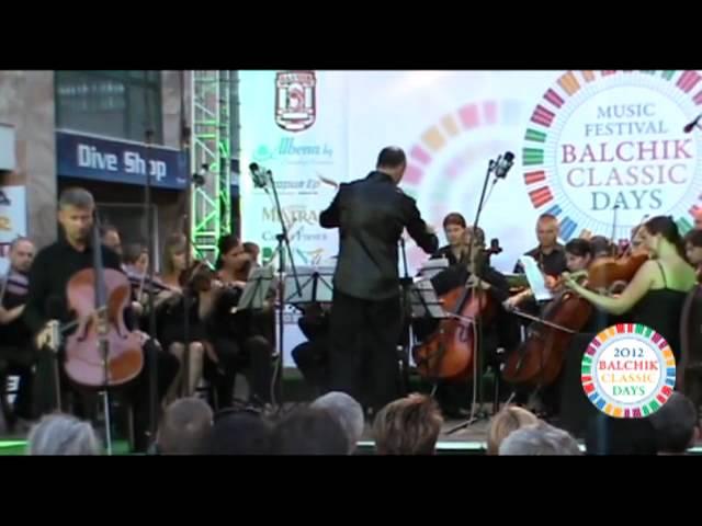 Haydn Cello Concerto No.2 in D Major - I. Allegro Moderato