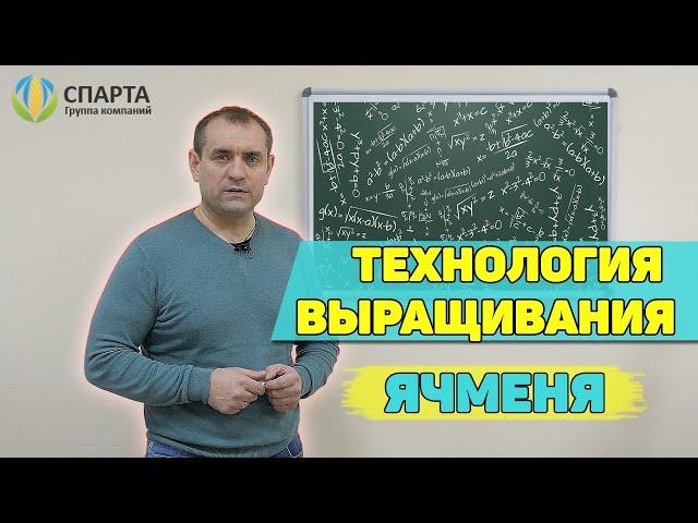 Технология выращивания ячменя. Сколько стоит обработка 100 га?