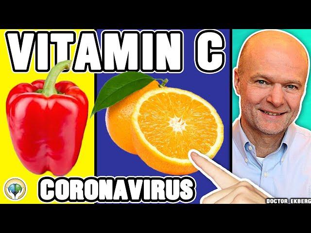 Top 10 Vitamin C Foods You Must Eat