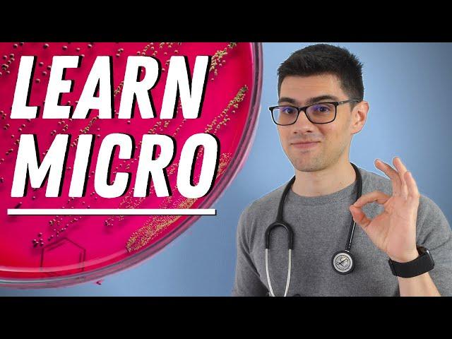 How to Learn Microbiology and Not Die Trying