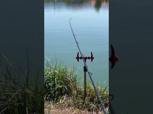 Daiwa ninja x feeder