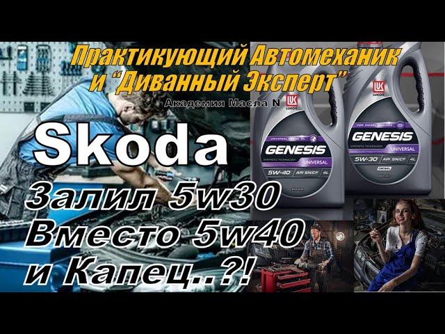 Skoda: Налил Масло 5w30 вместо 5w40 и Капец? Разбираемся (2024)